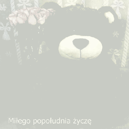 Miłego popołudnia życzy misiu